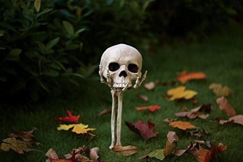 Crazy Bonez Skull in Hand Lawn Stake Decoration