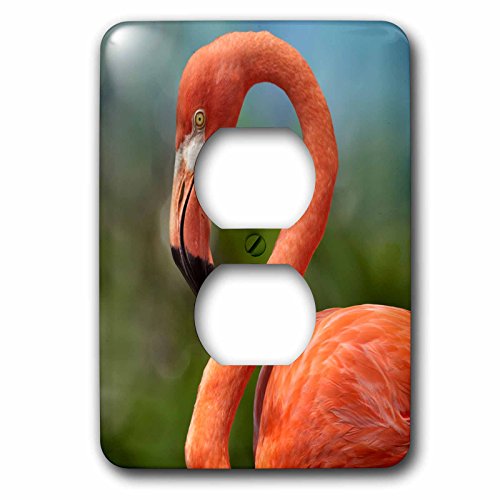 3drose LSP 257270 _ 6 2vORZgJo[2