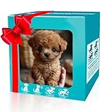 2025 New AI Robot Dog - Smart Realistic Robotic Puppy That Acts Like a Real Dog, Interactive Robotic Pet That Sits, Barks, Walks & Runs Tail Wagging Like a Real Dogs