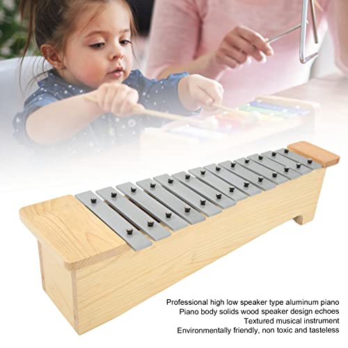 Metallophone, Environmentally Friendly Paint Professional Tones Crisp Sound 13 Note Glockenspiel Accurate For Music #TOP2