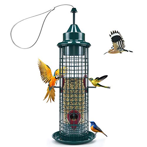 Grandisk - Comedero para pájaros y pájaros Cover
