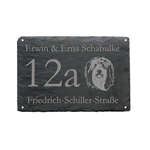 Preisvergleich Produktbild HAUSNUMMER + STRASSE + NAME mit BEARDED COLLIE als SCHIEFERTAFEL individuell gefertigt Schieferschild Hund