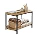 SoBuy Tables Basses avec 2 Etagères, Tables d'appoint, Table TV, Table de Salon, Bouts de canapé, Style Industriel 80x43x46 cm, FBT90-N