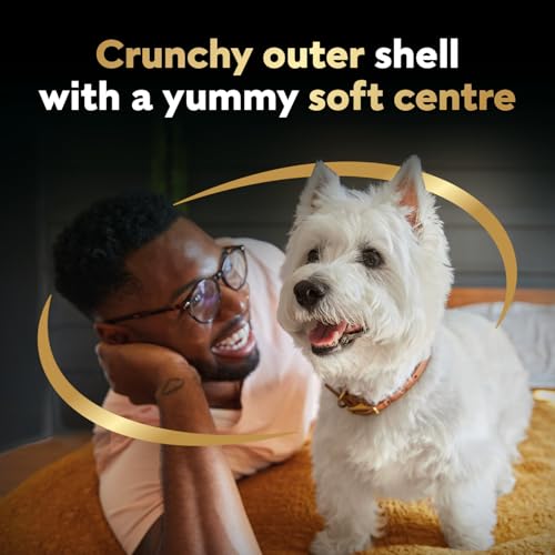CESAR BAKIES Dog Treats, For Small Breed Adult Dogs, New York Strip Flavour, Crunchy Texture, Fun Shapes, 550g Resealable Pouch image 7