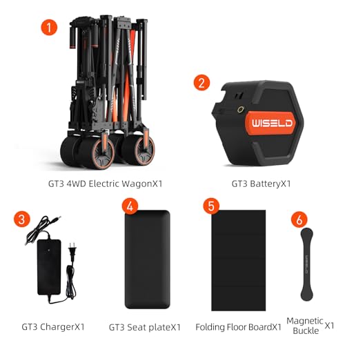 WISELD GT3 4WD Electric Wagon