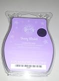 Scentsy Fuzzy Blanket Scent of the Month for August