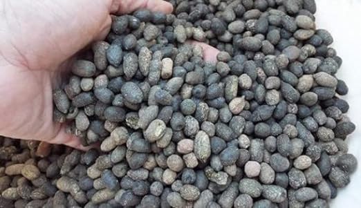 1Kg Goat Dung Manure Granules - 100% Naturale Fertilizer - Complete Plants, Fruits & Vegetables, Flowers And Garden (1Kg) (B0CLS13Z9X) Amazon Price History, Amazon Price Tracker