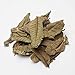 2oz Dried Guava Leaves, Hoja de Guayaba Seca by 1400s Spices