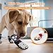 4 Stück Hundesocken Anti-Rutsch, Hunde Socken mit Leck-Schutz & Ausrutschschutz, Dog Socks mit Klettverschluss für den Innenbereich, Speziell für Senioren entwickelt - M ( Pfotenbreite: 5–6 cm)