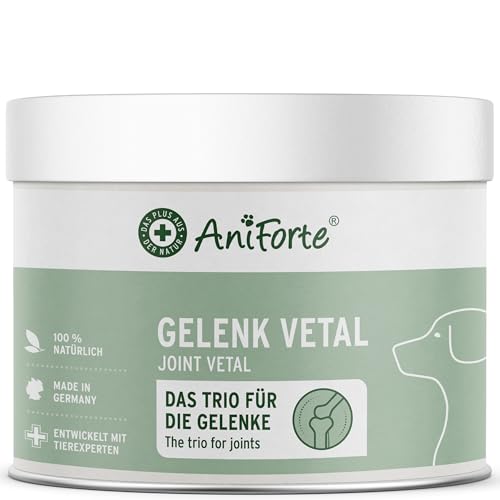AniForte Gelenk-VETAL 3 Gelenkpulver für Hunde 250g - Naturprodukt mit Grünlippmuschel-Pulver, Fisch Kollagen & Teufelskralle, Für Gelenke & Bewegung