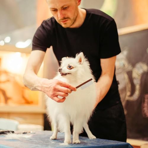 Image of Emily Pets Grooming Comb for Dogs & Cats | Wooden Handle | Flea & Lice Remover | Detangler for Long & Short Hair | Pet Hair Comb for Small & Medium Pets (Medium)