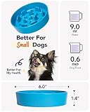 LE TAUCI Ceramiczna miska dla psa dla średnich i małych psów, powolne karmienie i zabawa dla psa, miska o antypoślizgowym wzornictwie (Vortex Blue, S-350 ml)