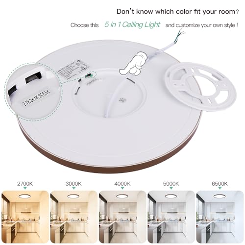 Image of Brightever LED Flush Mount Ceiling Light Fixture Oil Rubbed Bronze, 24W 3200LM 5CCT Dimmable LED Ceiling Light, 2700K /3000K /4000K /5000K /6500K, 12 Inch Ceiling Lamp for Bedroom, Dining Room, 1 Pack