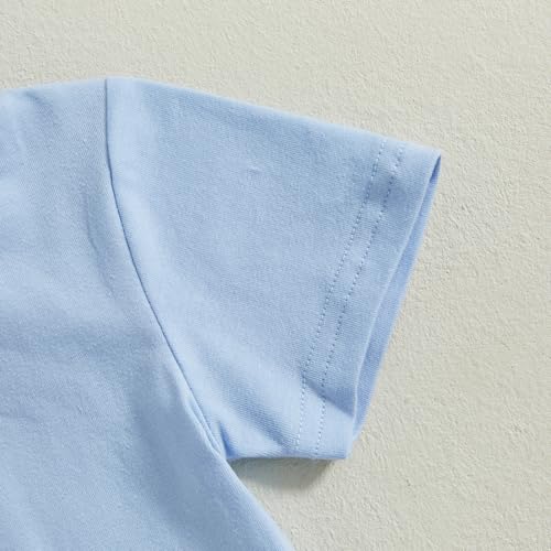 Image of Toddler Baby Boy Easter Rabbit Outfit Short Sleeve Bunny Carrot Smocked T-shirt Elastic Waist Shorts Summer Clothes