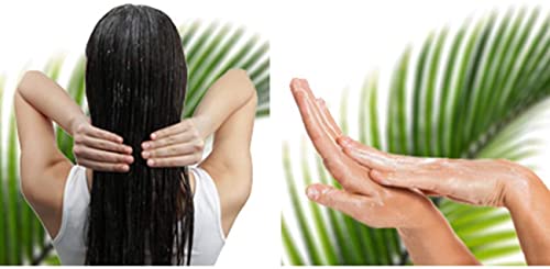 Acessórios para máquinas de beleza Elitzia ETMS02111