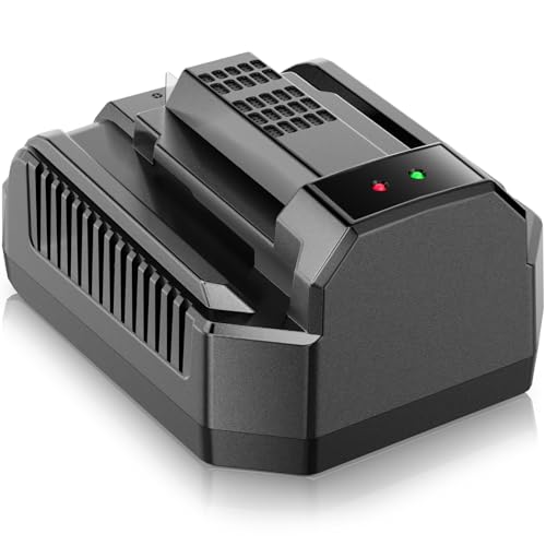 ?Faster!!? Replacement for EGO Battery Charger 56-Volt Lithium-ion Charger Model CH2100