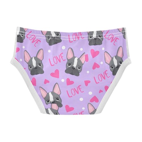 Cute French Bulldog Toddler Boy's Underwear 2T 202c17792