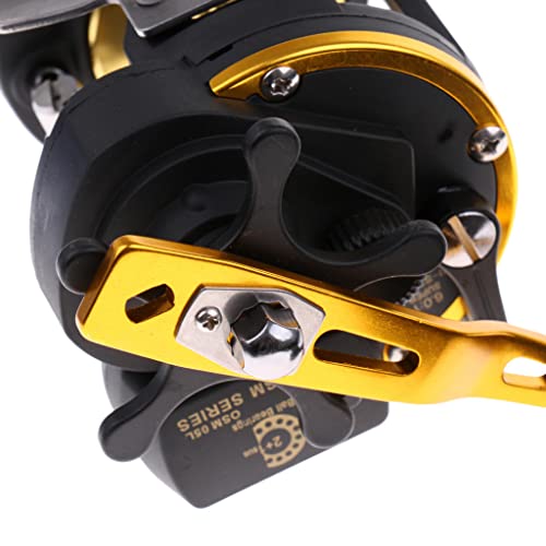 amleso aeso トローリングリール 6.0:1 3BB