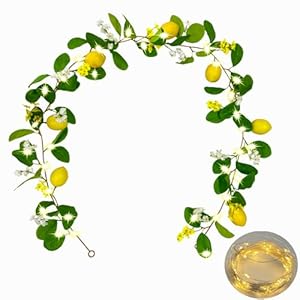 Artificial Lemon Garland with Fairy Lights Spring Summer Greenery Lemon Vine Plant Vivid Fruit Dense White and Yellow Flowers Hanging Wreath for Home Garden Wedding Party Christmas Décor Artificial Lemon Garland with Fairy Lights Spring Summer Greenery Lemon Vine Plant Vivid Fruit Dense White and Yellow Flowers Hanging Wreath for Home Garden Wedding Party Christmas Decor