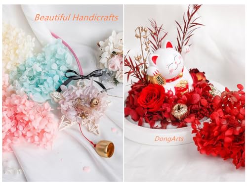 DongArts Konservierte getrocknete Hortensien Blumen Set, 6 zufällige Farben pro Box, 100% natürliche Hortensien Blumen für DIY Kerze Harz Geschenk Filler Handwerk (3 Box)