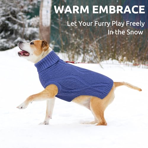 Queenmore Pullover für kleine Hunde | Warm & Bequem | Stretch Hundepulli | Malteser, Pomeranian, Pudel, Shih Tzu (Blau, S)