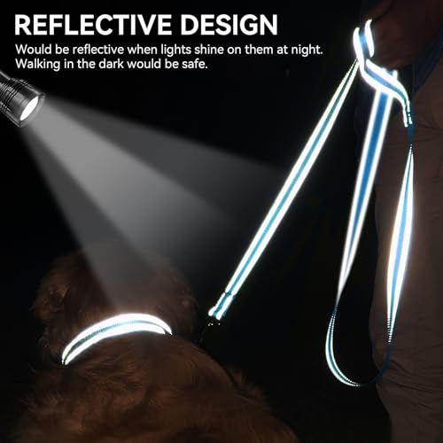 image for Joytale Dog Leash, 6 FT Double-Sided Reflective, Padded Handle Nylon H
