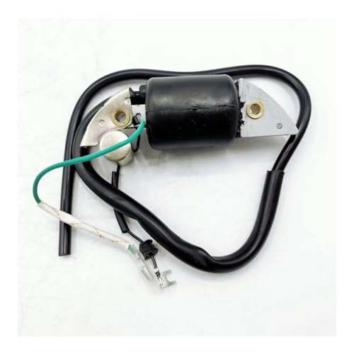 Bobina de encendido G150 G200 G300 G400 compatible con motores antiguos 30500-887-303