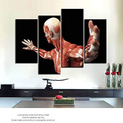 Hipolotus 4 Panel Canvas Pictures Human Anatomy Male Muscles 3D Wall Art Prints Paintings Stretched & Framed Poster Home Living Room Decoration Ready To Hang thumb #4