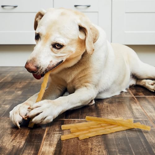 Nobleza - Kaustangen Hund zur Zahnpflege, Größe 125 mm x 10 mm, Kausticks für hunde 100% Natürlich 120er-Pack, Niedrig in Fett, Hoch in Protein, Keine künstlichen Zusatzstoffe