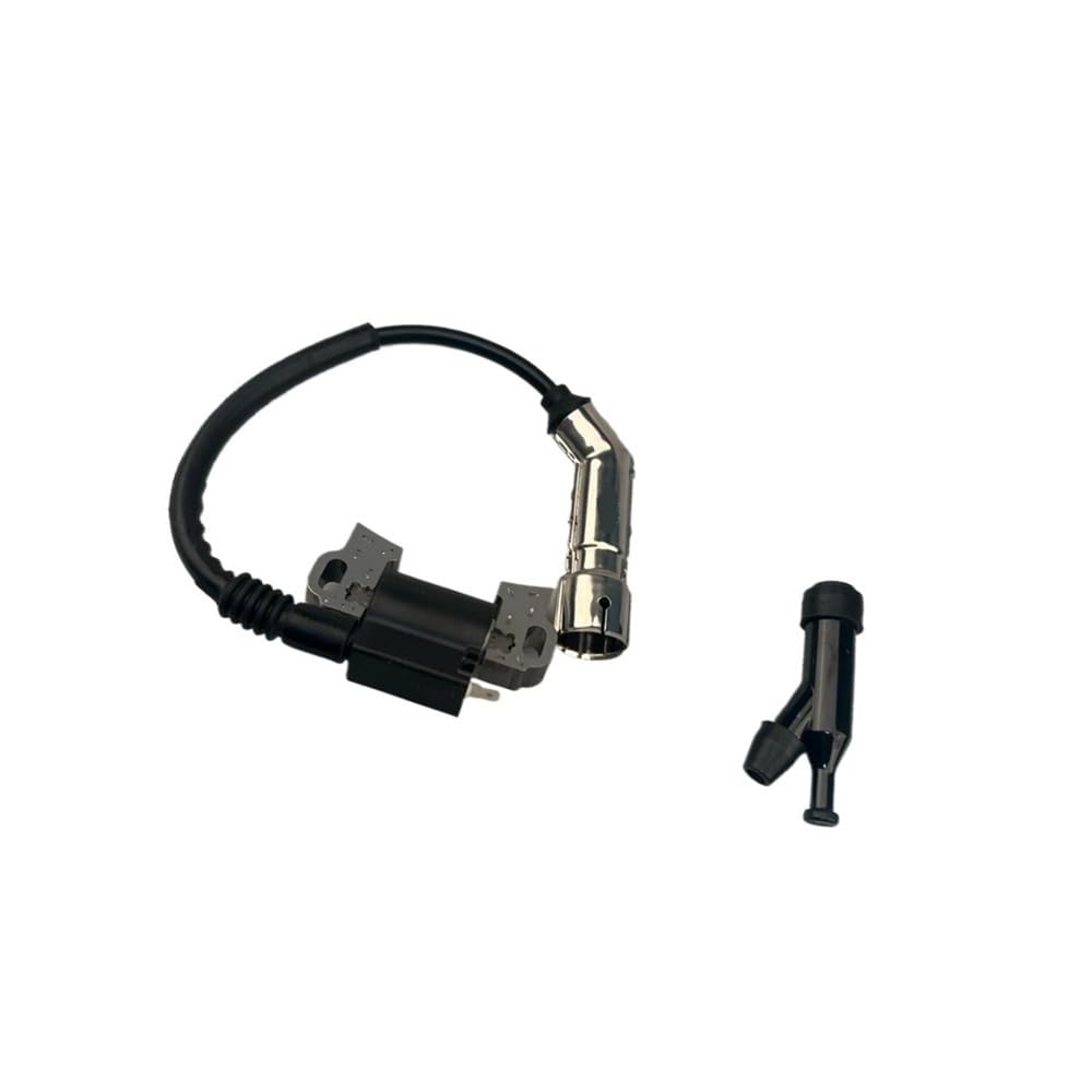 Bobine d'allumage 798616 étincelle haute performance pour tondeuse 19T135