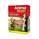 STANGEST Anima Strath 250ML + MORDEDOR, Estándar, Único, 100