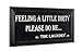 Feeling a little dirty - Please Do Me - The Laundry sign 14" x 7" Laundry Sign