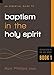 Baptism in the Holy Spirit (Foundations on the Holy Spirit) (Volume 1)