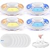 Amazon.com : Kittmip 4 Pcs Flea Traps for Inside Your Home with 8 ...