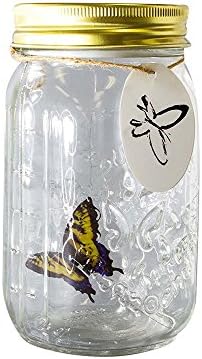 Herebuy8 Romantic Butterfly Collection- Animated Butterfly in a Jar with LED Lamp (Yellow)