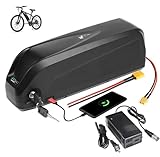 【Product Parameter】 48v 10ah ebike battery size: 14.5*3.54*4.5inch. 48v 20ah lithium battery is suitable for 200w-1000w motor. Max constant discharge current: 30A 【30A BMS Protection Board】 The li-ion battery has built-in 30A BMS and built-in battery...