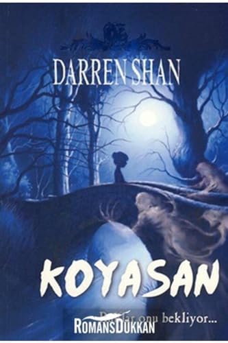 Koyasan [Turkish] 9944696064 Book Cover