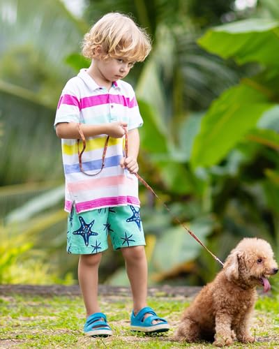 Image of SURF CUZ Surfcuz Little Boys Swim Trunks UPF 50+ Toddler Beach Shorts Swimsuit Kids Quick Dry Swimwear