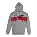 NHL Detroit Red Wings Gold Plated Fleece