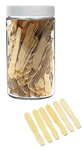 Small Wooden Cosmetic Spatulas (500 pk) with Container