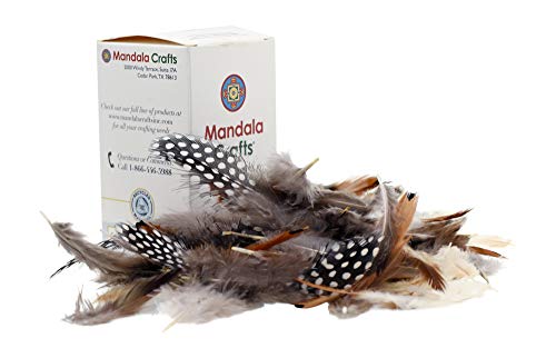 Craft Feathers - Natural Feathers - Loose Real Chicken Feather For Dream Catcher Jewelry Making Hats Crafts By Mandala Crafts 1.25 To 4.25 Inches 180 Pcs #TOP2