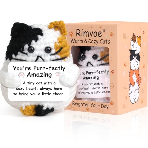 Crochet Positive Cat with Encouraging Sign, Handmade Knitted Gifts for