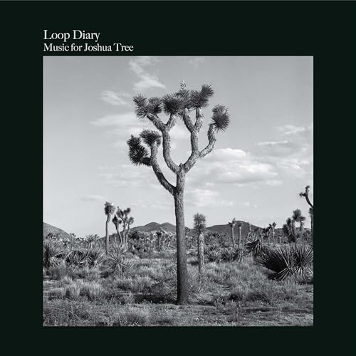 Music For Joshua Tree [Vinyl Lp] [Vinyl]