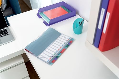 Esselte A4-Projektordner mit 12 Taben, Ordnungsmappe mit Register zur Schreibtischorganisation und Aufbewahrung von Projektunterlagen, Mit Klappen und Gummizug, Colour’Breeze Serie, Mehrfarbig, 626256