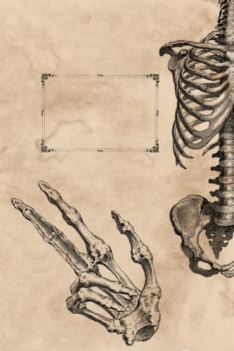 Old skeleton - notebook