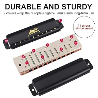 AKLOT Blues Harmonica 10 trous harpe diatonique clé de C Blues Harp 20 tons pour adulte et enfant avec étui rigide – Image 4