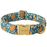 Unique style paws Dog Collar Green Pumpkin Flower Metal Buckle Durable Puppy Collar Halloween for Small Medium Large Boys Girls Dogs