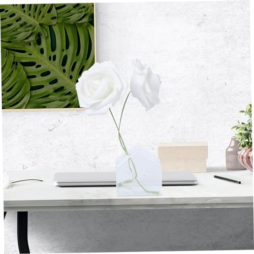 Florero hidropónico transparente de cristal para raíces y esquejes 4