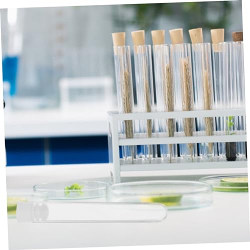 TENDYCOCO 50 vX  Wt Rh~ ʂ 