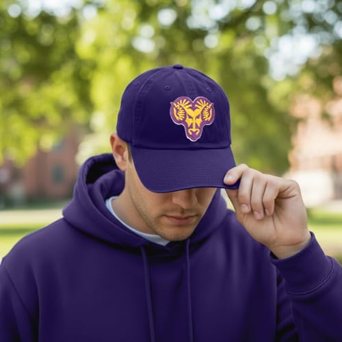 Gorra bordada ajustable estilo baseball adulto miniatura 5